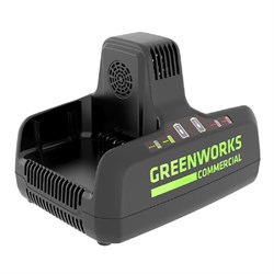 Зарядное устройство на 2 слота GREENWORKS G82C2 82V - фото 406874