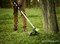 Триммер аккумуляторный 60V GREENWORKS GD60LTK4 c АКБ 4АЧ и ЗУ Greenworks 2108307UB - фото 687162